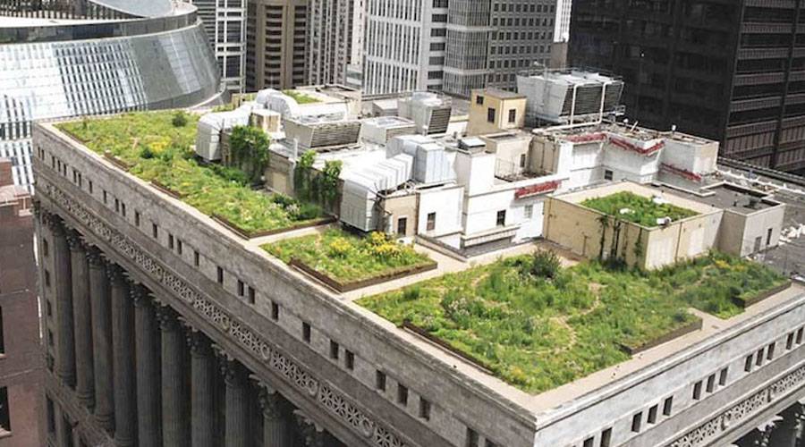 Designs Done Well Chicago’s City Hall Rooftop Garden