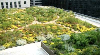 Designs Done Well: Chicago’s City Hall Rooftop Garden