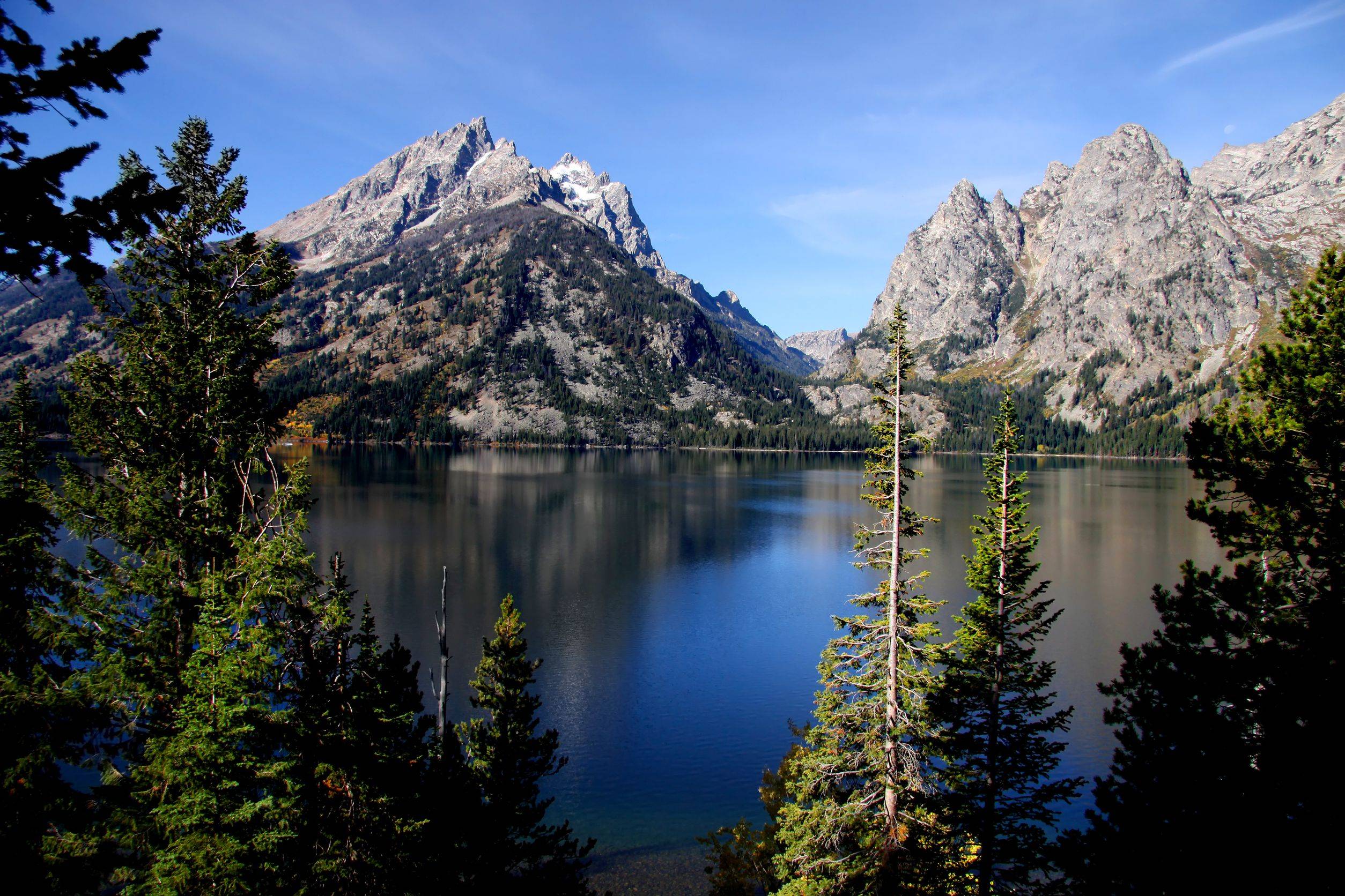 Explore Jackson Hole Wyoming With Diane Nodell