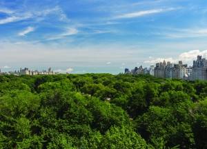 22 Central Park South