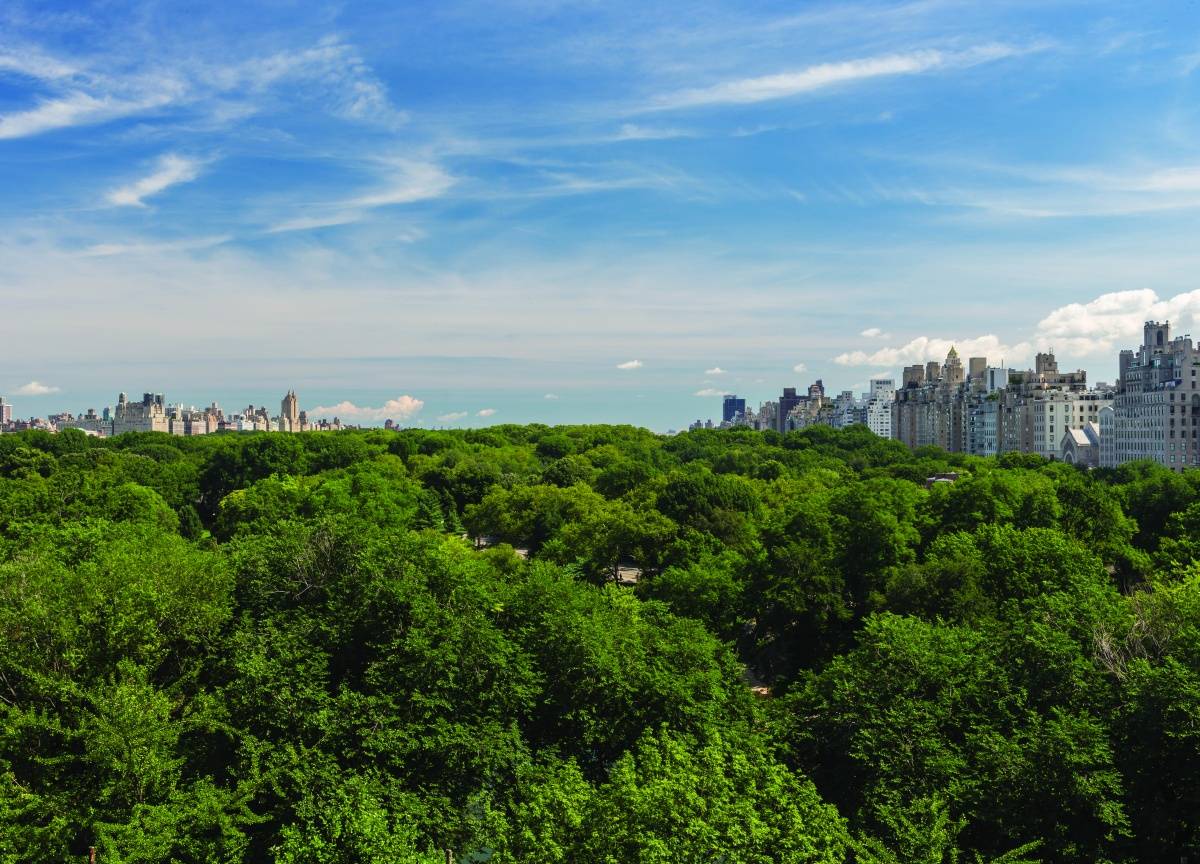 22 Central Park South