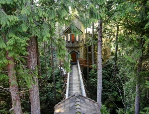 Washington Castle Home