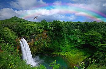 Kauai-Hawaii_intro_345x225