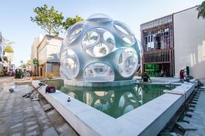 Fly Dome