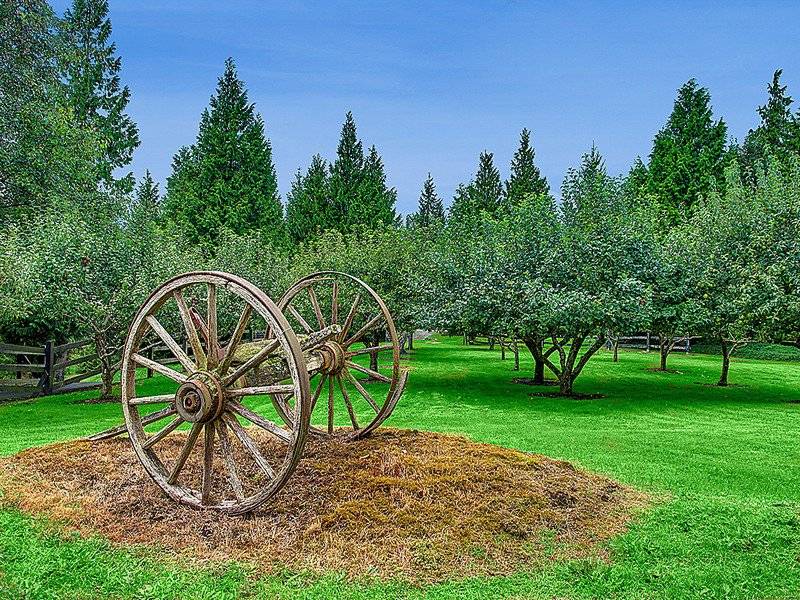 Exquisite ‘Scimitar Ranch’ Equestrian Retreat