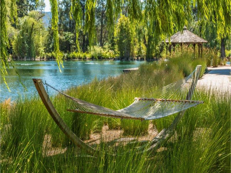 YOUNTVILLE VINEYARD ESTATE