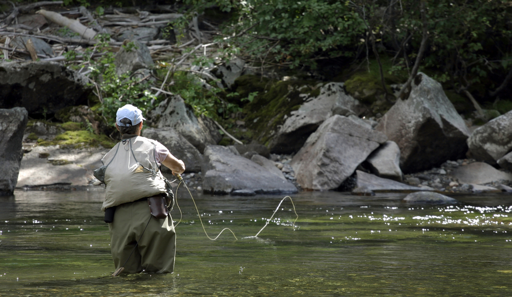 shutterstock_1968932