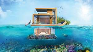 The Floating Seahorse