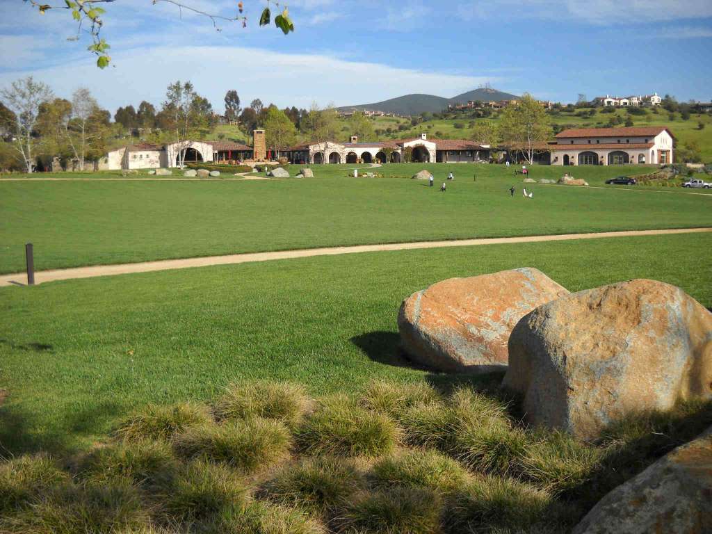 474974_363756443684869_1993982841_o