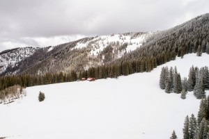 Aspen