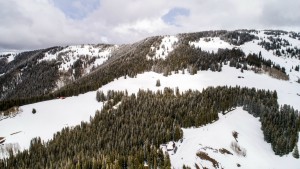 Aspen