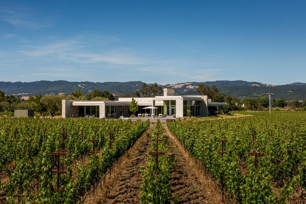 13_Exterior_Vines_8683