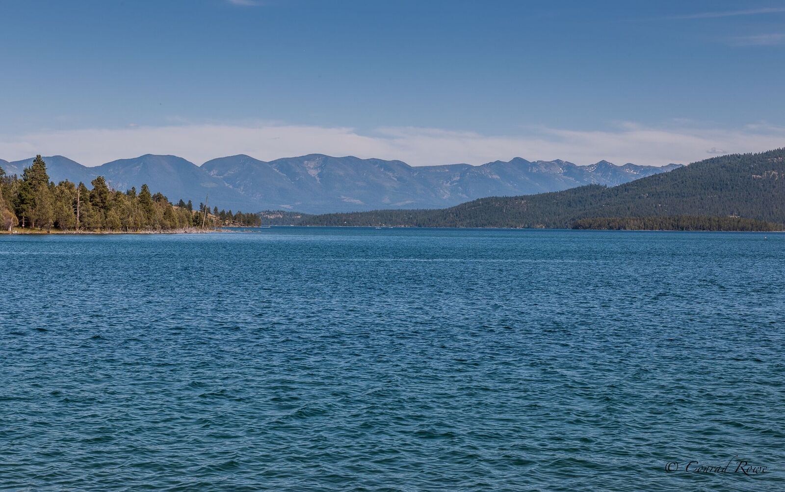 3 - 100 Hog Heaven Cattle Company Road_preview