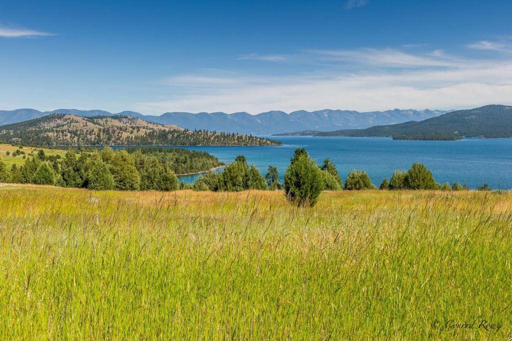 6 - 100 Hog Heaven Cattle Company Road_preview