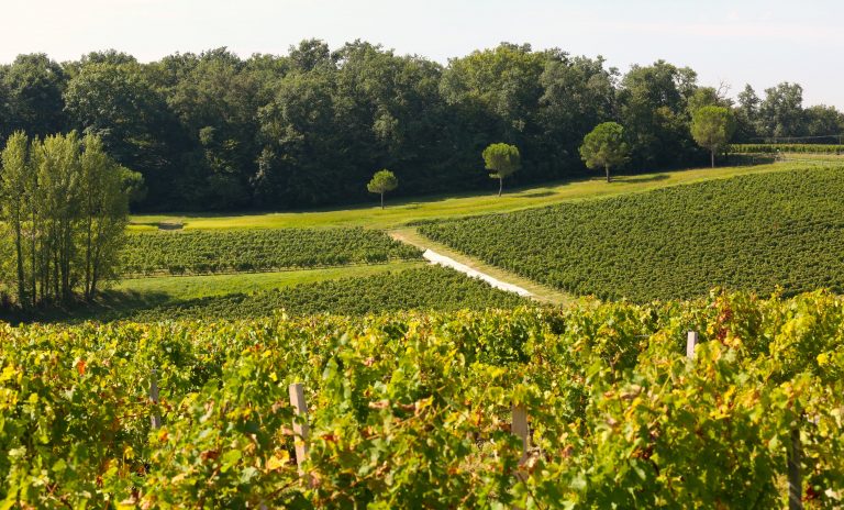 World's Most Resplendent Vineyard Destinations