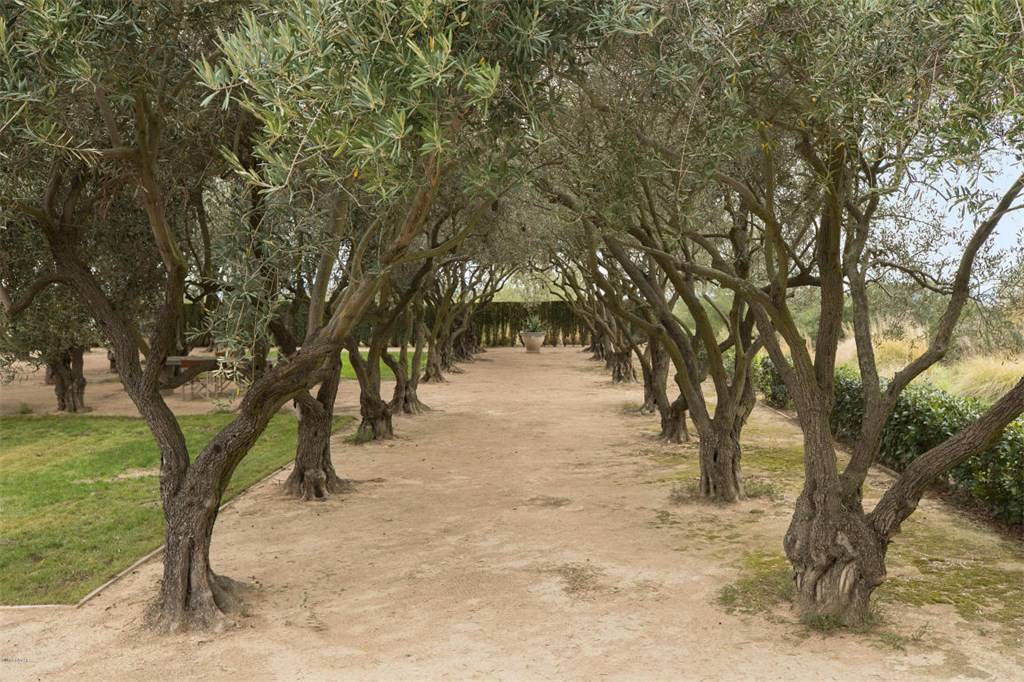 World's Most Resplendent Vineyard Destinations