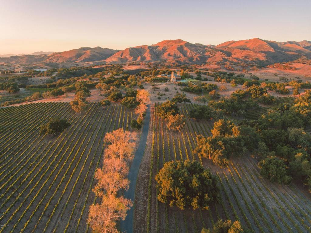 World's Most Resplendent Vineyard Destinations