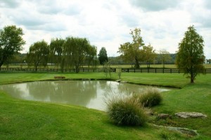 Justin Timberlake Leiper's Fork Land