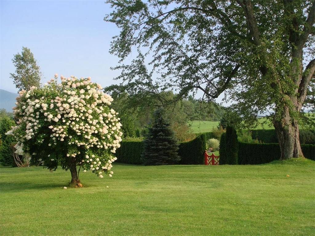 New England Equestrian Estates