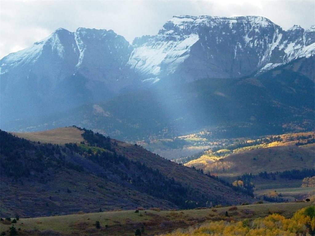 Eco-Friendly Residences