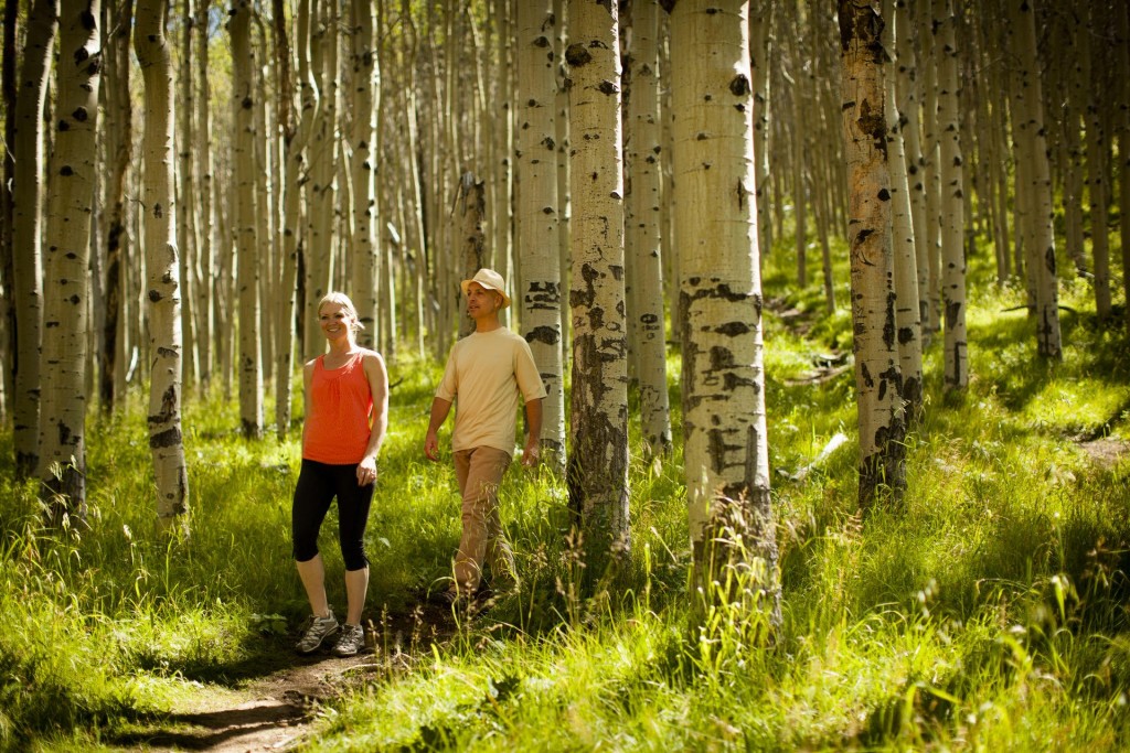 Darlene Streit - September 2020 1