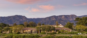 Estate Group