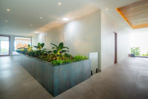 Realty International